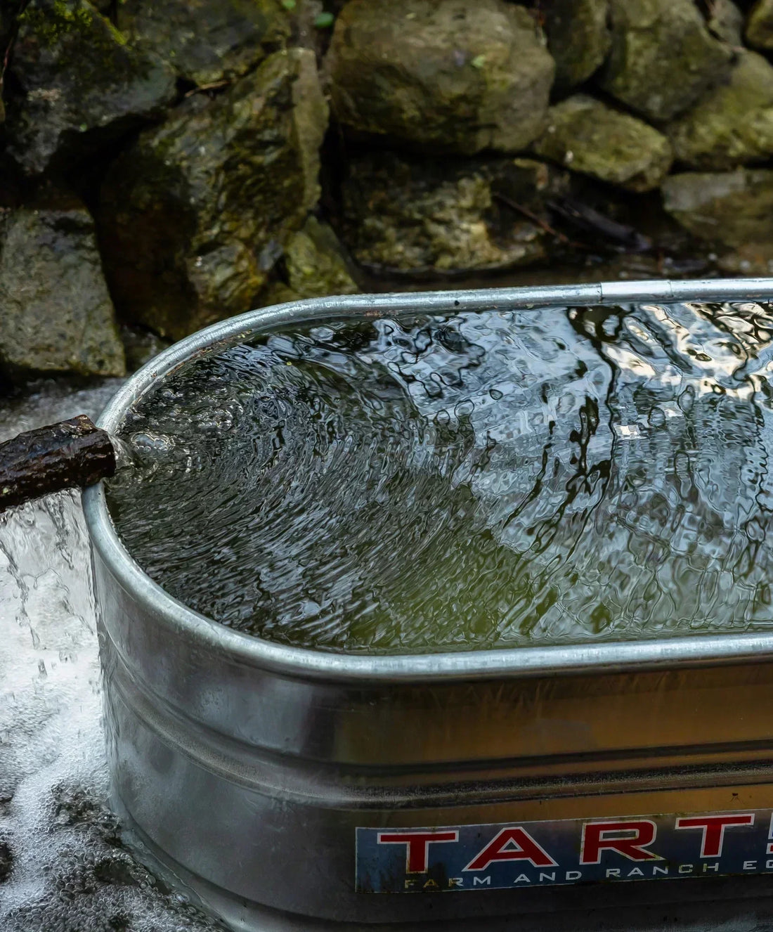 Cold Plunge After Workout: Recovery Benefits and How to Start