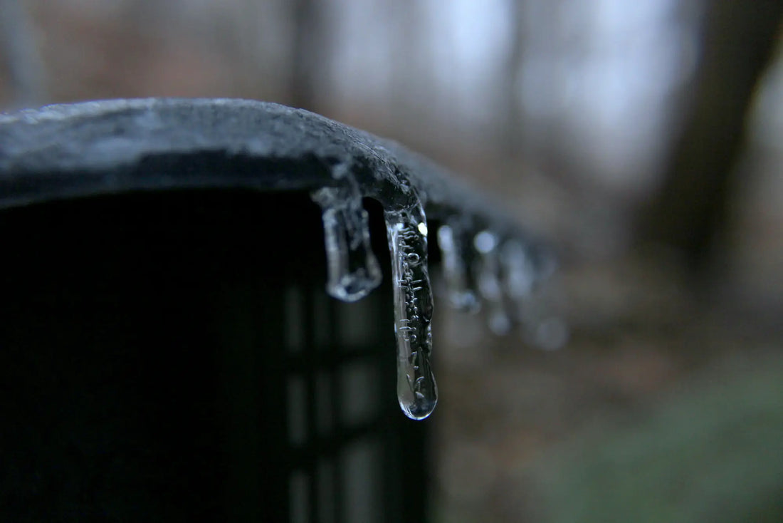 edge of a cold plunge tank frozen over